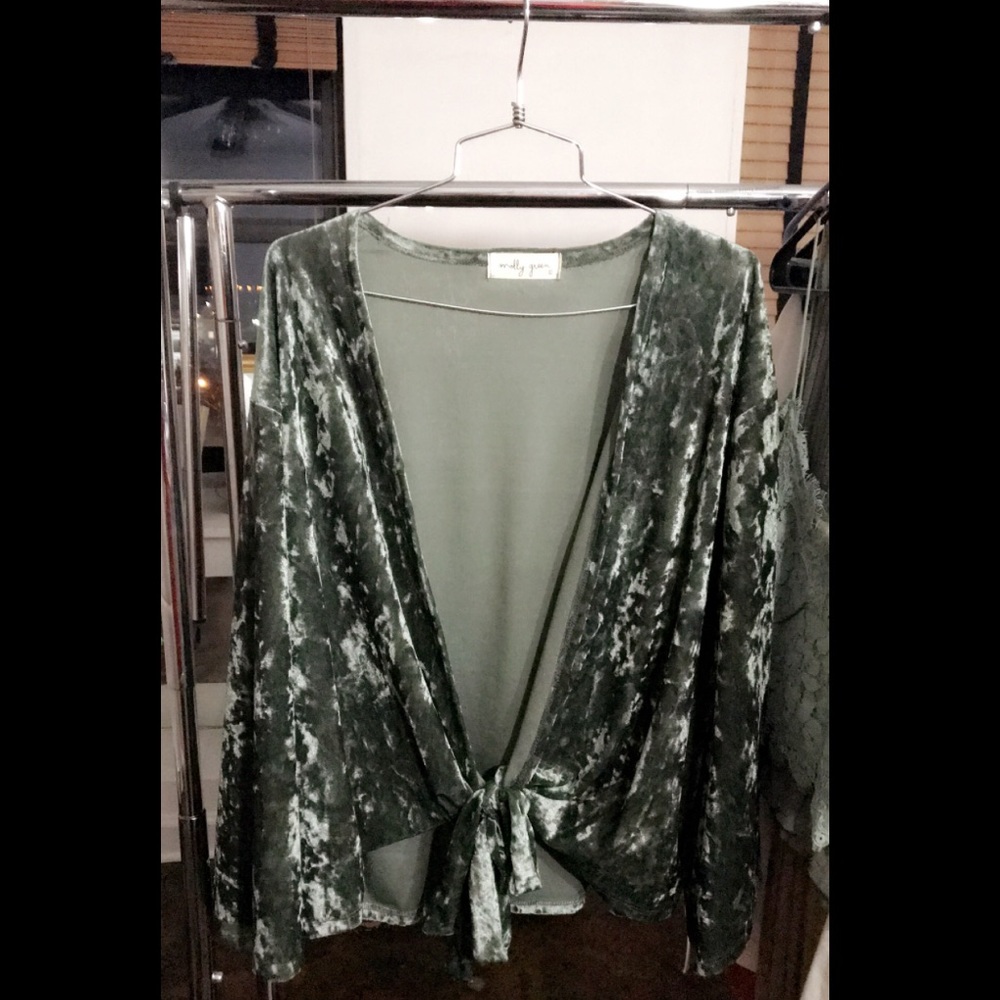 Velvet Deep V-Neck Blouse